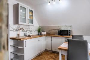 Kuchyňa alebo kuchynka v ubytovaní Apartament Polany