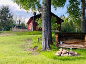 Adventure Guesthouse Sweden in rural area Sunne في سونّه: كابينة خشب فيها شجرة و كومه من الاخشاب