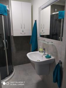 a bathroom with a sink and a shower at Za Rogiem2 in Duszniki Zdrój