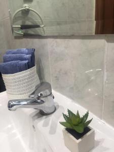 a bathroom sink with a faucet and a plant on it at Sleeping Gran Via in Madrid