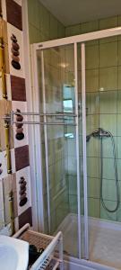 a shower with a glass door in a bathroom at Pokoje gościnne Keja in Wisełka +30 photos