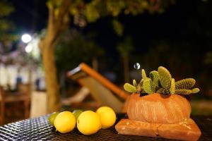 a pumpkin with a plant on it next to yellow lemons at Koukouapartments & Suites in Vathi