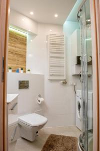 y baño blanco con aseo y ducha. en Apartament u Janka, en Wieliczka