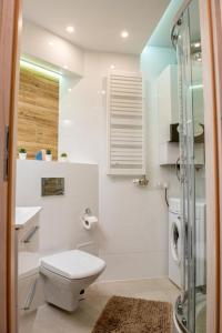 Kúpeľňa v ubytovaní Apartament u Janka