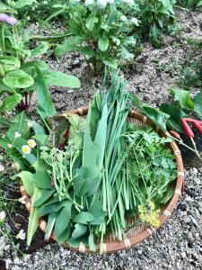 a basket full of plants in a garden at Travelers House おーさんてぃん青空舎 in Taketomi