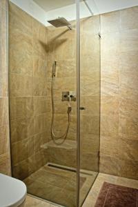 a shower with a glass door in a bathroom at Vinařský Penzion in Strachotice