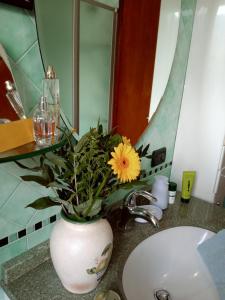 Bilde i galleriet til I 4 elementi i Crespano del Grappa