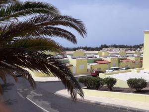 a palm tree in front of a parking lot at FRAMANTIS App No 6 in Costa Calma