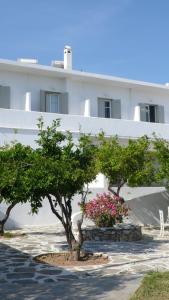 two trees and flowers in front of a building at Hotel Anezina in Drios