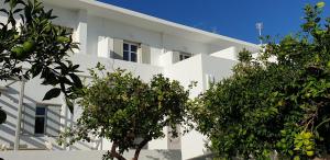 a white building with trees in front of it at Hotel Anezina in Drios