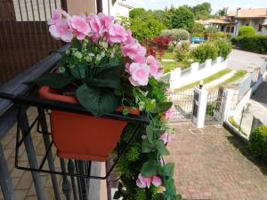 En hage utenfor I 4 elementi