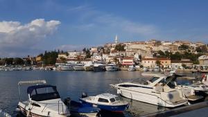a bunch of boats are docked in a harbor at Apartment Roby in Vrsar