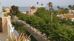 een rij planten op een straat in een stad bij ATICO DUPLEX UMA in Benicarló