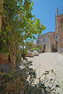 Un árbol sentado en medio de un patio. en Il Fascino del Borgo, en Castellabate