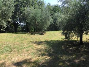 Zahrada ubytování B&B Corte Sant'Angelo