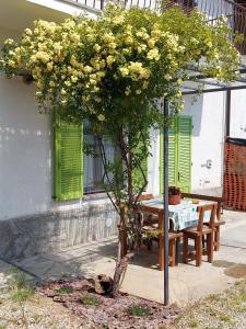 Un árbol con flores amarillas junto a una mesa. en Pelagallo, en Bagnolo Piemonte