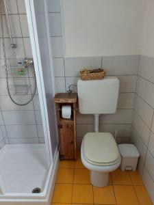 Koupelna v ubytování Pelagallo + 9 fotografií
