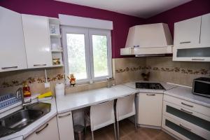 Kuchyňa alebo kuchynka v ubytovaní Apartman Veronika