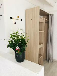 a potted plant sitting on a table next to a closet at Chambre d'hôtes des Gâtines in Berthegon