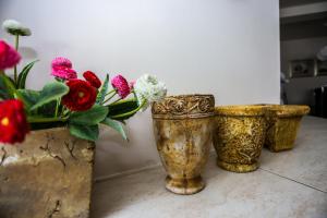 Fotografia z galérie ubytovania Apartman Veronika v destinácii Dakovo