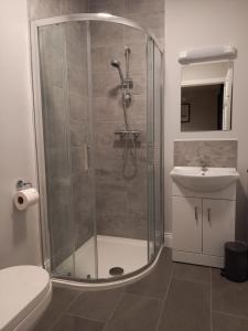 La salle de bains est pourvue d'une douche, de toilettes et d'un lavabo. dans l'établissement Sea Crest B&B Rossnowlagh, à Rossnowlagh