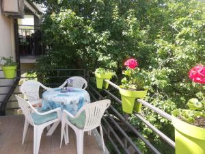 Fotografie z fotogalerie ubytování Apartment in Opric 15139 v destinaci Ika