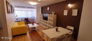 TV a/nebo společenská místnost v ubytování PICASSO Apartamento