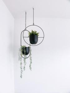 a hanging plant holder with two potted plants at OUCHI HOTEL Kanayama-cho with Dogs in Hiroshima