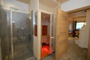 W łazience znajduje się prysznic i przeszklona kabina prysznicowa. w obiekcie Mühlerhof w mieście Funes