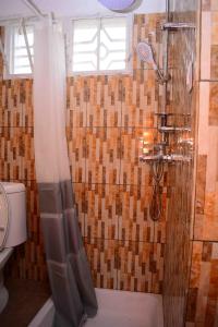 a bathroom with a shower with a shower curtain at Volcano View in Ruhengeri