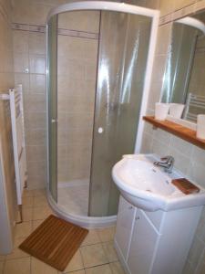 a bathroom with a shower and a sink at Apartmány U Lanovky in Rokytnice nad Jizerou