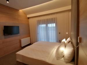 TV a/nebo společenská místnost v ubytování Holiday Park Zagyland