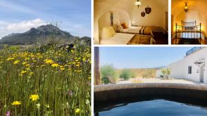 a collage of pictures with a bed and a field of flowers at LAS DUNAS Cave House Holidays in Benamaurel