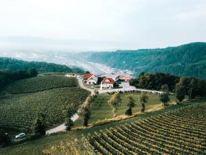 Billede fra billedgalleriet på Tri lučke Hotel & Restaurant i Krško