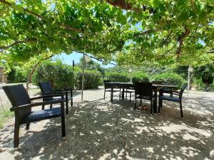 A garden outside DIMORA IL CAMALEONTE apartments in nature with pool