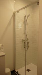 a shower with a glass door in a bathroom at Riva Lodge in Saint-Aignan