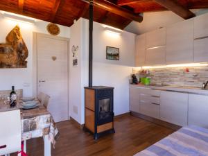 a kitchen with a stove in the middle of a room at Holiday Home La tana del lupo by Interhome in Albonico