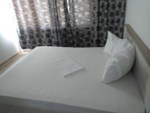 Postel nebo postele na pokoji v ubytování Vila Cata Costinesti