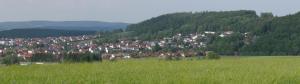ein grünes Feld mit einer Stadt auf einem Hügel in der Unterkunft Ferienwohnung Blumengarten in Marburg an der Lahn