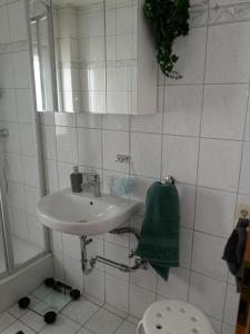 a bathroom with a sink and a green towel at Ferienwohnung Blumengarten in Marburg an der Lahn