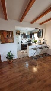 ein Wohnzimmer mit einer Küche und einer Arbeitsplatte in der Unterkunft Casuta-Lacului in Unciuc