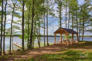 ein Pavillon mit Picknicktisch neben einem See in der Unterkunft Stainiškių slėnis in Aviliai