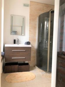 een badkamer met een wastafel en een douche met een spiegel bij 1-bedroom apartment-rooftop JAKUZZI-hot tub, BBQ & SAUNA in a FOREST by the BEACH in Klaipėda