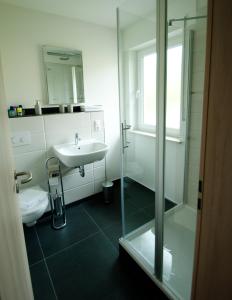 a bathroom with a shower and a sink and a toilet at Schenk´s Landgasthof in Amorbach