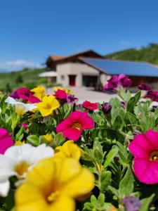 a bunch of colorful flowers in front of a house at Bio Agritur al Bait in Spormaggiore