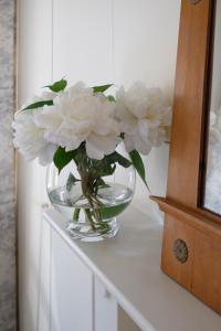 a vase filled with white flowers sitting on a table at B&B mybandb in Bruges