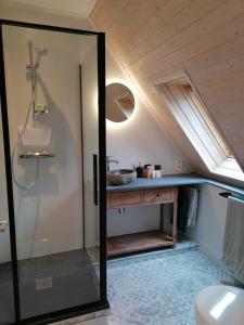 ein Bad mit einer Dusche und einem Waschbecken in der Unterkunft B&B Lekker Buiten in Stratendries