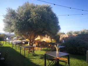 a group of tables and chairs under a tree at Casette Marianeddi -Agriturismo Marianeddi in Noto