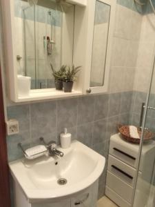 Kúpeľňa v ubytovaní Studio Apartment Mandic