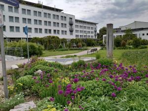 Un jardín con flores delante de un edificio. en Ferienwohnungen Bögner, en Günzburg
